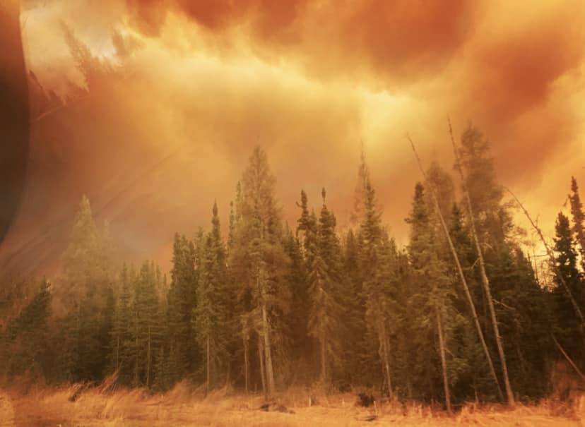Kanada'da orman yangınları: Dumanlar ABD'ye ulaştı 5